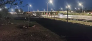 Terreno rústico con árboles