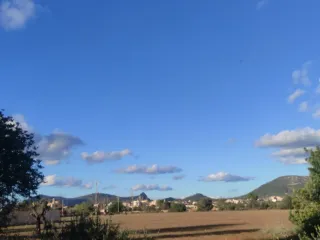 Terreno rústico con árboles