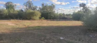 Terreno rústico con árboles