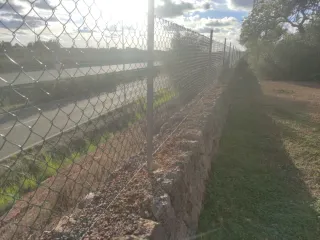 Terreno rústico con árboles