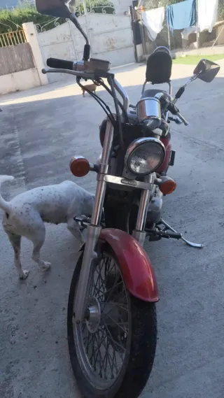 Moto Custom 66940 km Honda 2013 SHadow VT 600C.C A