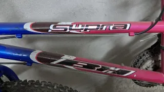 Bicicleta infantil niña