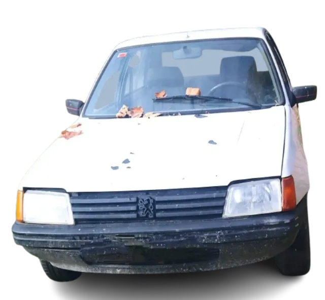 Despiece Peugeot 205 1989