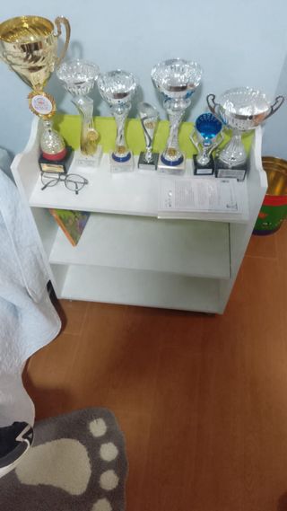 Estantería blanca con interior verde