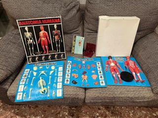 Anatomía humana. Equipo N° 4. Juego años 60.