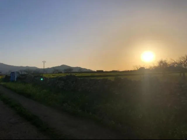 Terreno rústico con higueras y paredes de piedra