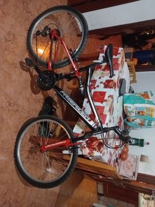 Bicicleta Freerider