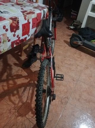 Bicicleta Freerider