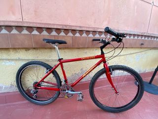 Specialized Rockhopper 1993