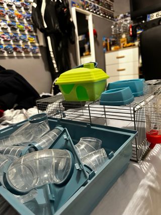 Pack Jaula Hámster Accesorios