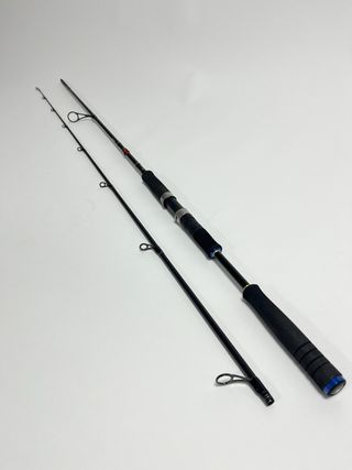 Caña de Pescar Daiwa Saltist AGS 802HFS