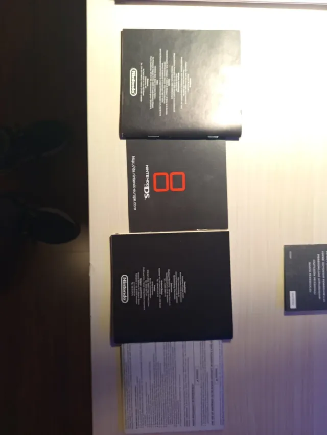 Manuales Nintendo DS FAT 1ª Versión