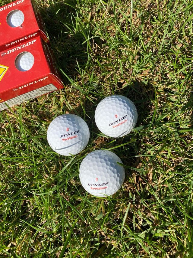 Bolsa de palos de golf completa.