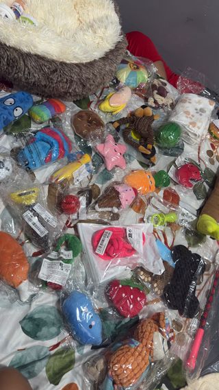 Lote Accesorios Mascotas: Cama, Juguetes, Comedero