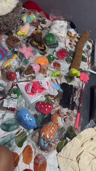 Lote Accesorios Mascotas: Cama, Juguetes, Comedero