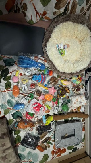 Lote Accesorios Mascotas: Cama, Juguetes, Comedero