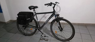 Bicicletta da passeggio