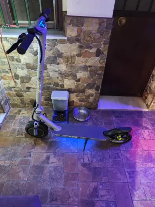 Patinete Eléctrico SmartGyro Ziro2