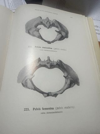 Atlas de anatomía humana Huesos, articulaciones...