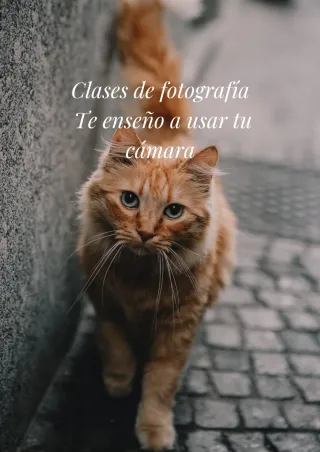 Clases de fotografía