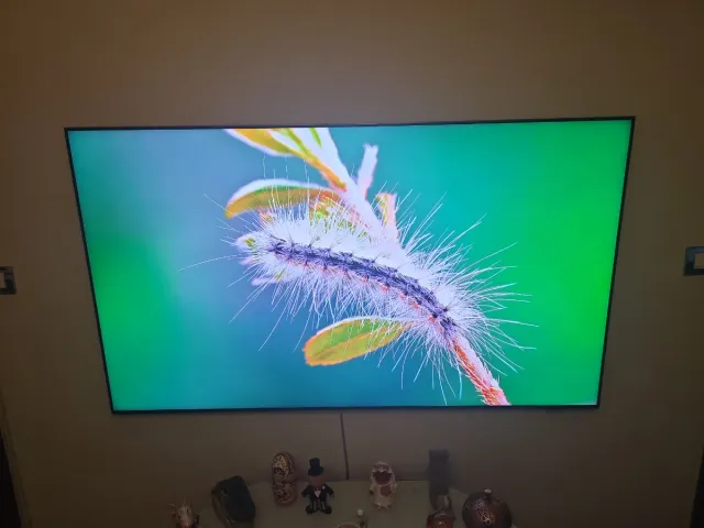 Samsung QN95A 65 TV