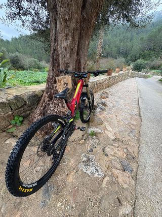 Bicicleta da Montagna S-Works Demo 8 Rossa