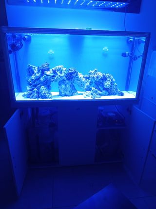 Acuario Marino 1.20m Completo