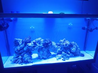 Acuario Marino 1.20m Completo