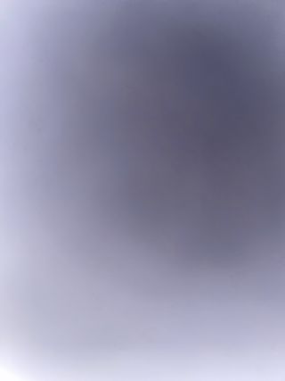 Albañil polivalente