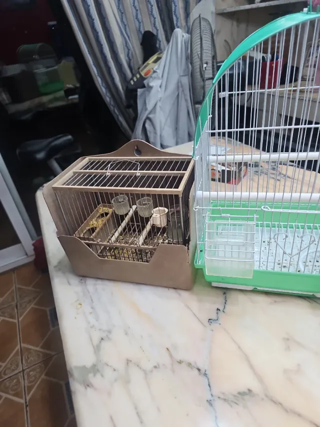 Jaulas para pájaros