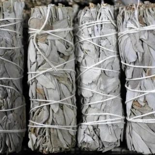 Salvia Blanca Himalaya Atadito