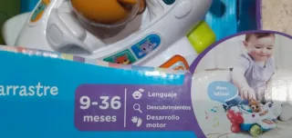 Avión arrastre VTech Lolo Piloto 9-36 meses