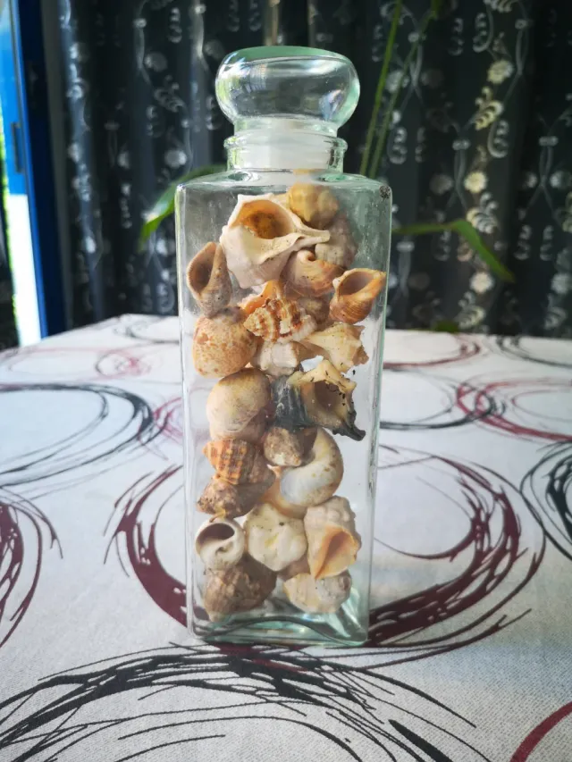 Bote de cristal con caracolas