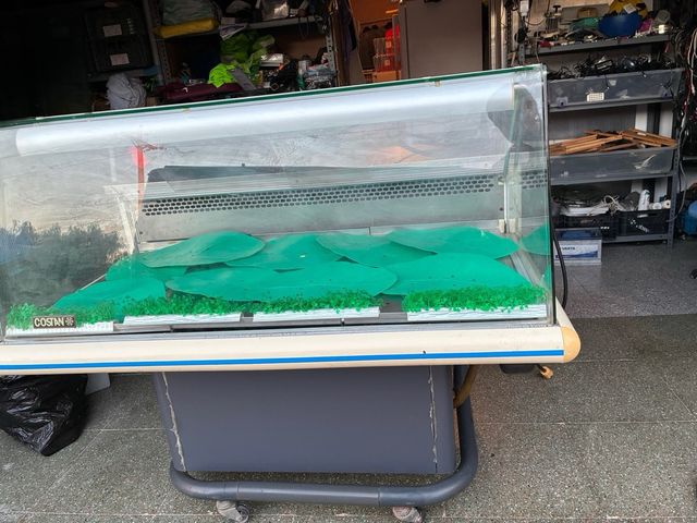 Vitrina expositora refrigeradora Costan