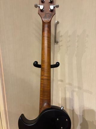 Guitarra Harley Benton Agufish Signature