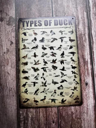 CARTEL CHAPA DE CAZA TIPOS DE PATOS