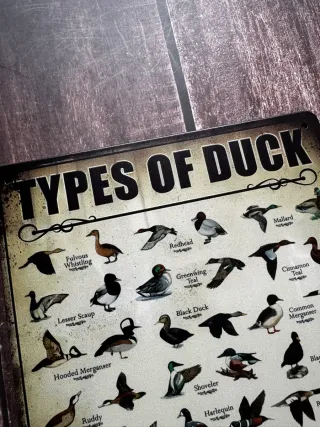 CARTEL CHAPA DE CAZA TIPOS DE PATOS