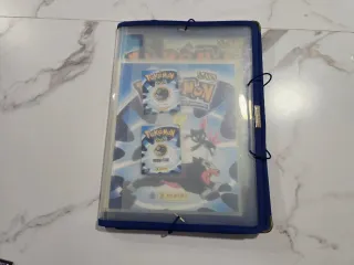 Pokemon Staks Johto League 2002