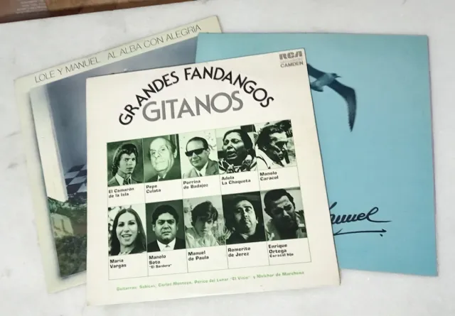 Lote Flamenco Vinilos 
