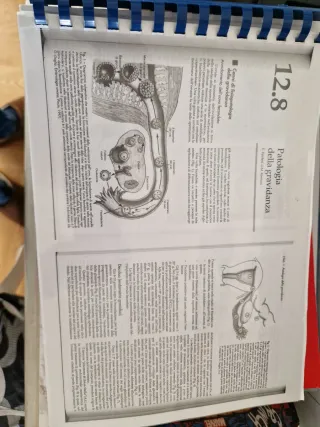 Parziale di patologia della gravidanza