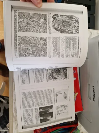 Parziale di patologia della gravidanza