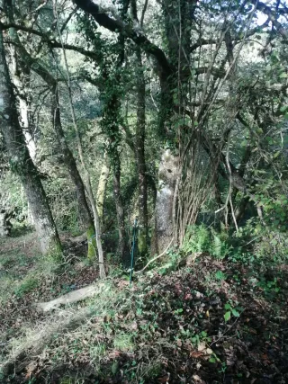 Se instala televisiones, estanterías, muebles ect