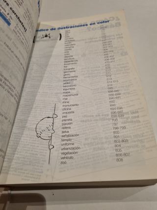 Diccionario didáctico básico. Primaria. (Spanis...