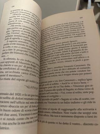 I leoni di Sicilia (Italian Edition)