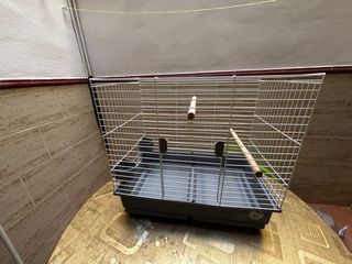 Jaula para loro, agaporni, ninfa