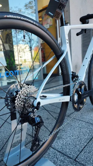 BERRIA BELADOR ELITE 105