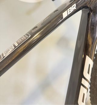 BERRIA NAII BR APEX AXS