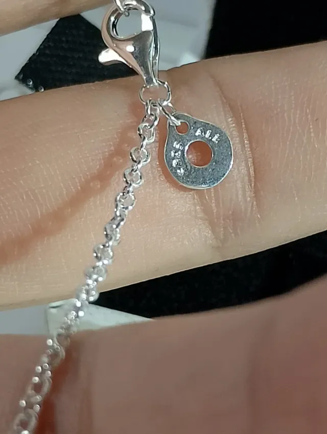 Collar Pandora Plata Doble Aro