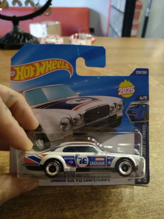 10 Coches Hot Wheels