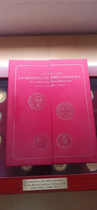 Colección Monedas Plata bañadas en oro